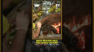 India: Priests Pray For Harris' Triumph Ahead Of US Election | USA News | WION Shorts