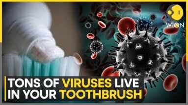 Tons Of Viruses Live On Your Toothbrush And Showerhead: Study | World News | WION