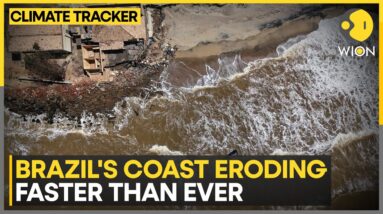 Brazil's Coast Eroding Faster Than Ever From Rising Atlantic | Latest News | WION Climate Tracker