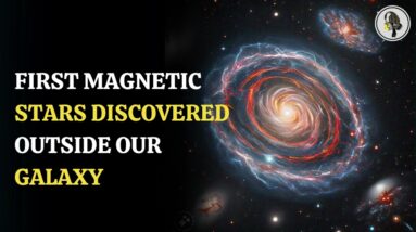 First Magnetic Stars Discovered Outside Our Galaxy | WION Podcast