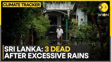 Heavy Rains Flood Homes, Fields And Roads |  WION Climate Tracker