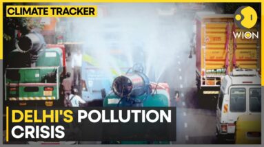 Delhi's Air Quality Remains 'Very Poor' | WION Climate Tracker | World News | WION