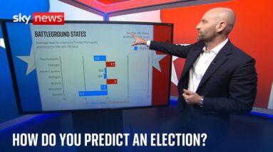 How do national polls compare with the betting markets? | US election