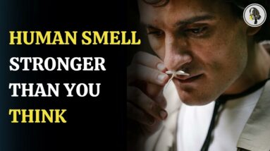 Human Smell Stronger Than You Think | WION Podcast