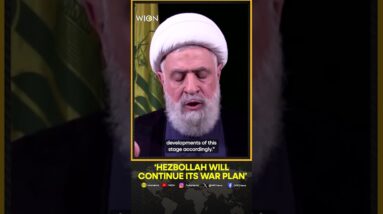 Hezbollah Chief Naim Qassem Says 'Group Will Continue Its War Plan' | World News | WION Shorts