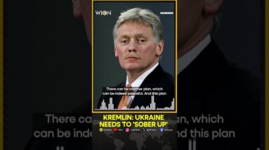 Kremlin, Commenting On Zelensky's 'victory Plan,' Says Ukraine Needs To 'Sober Up'