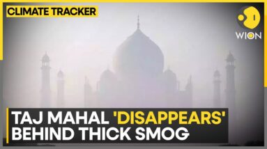 India: Taj Mahal 'Disappears' Behind Thick Smog | WION Climate Tracker