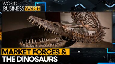 Fossilised Dinosaurs Emerging As A New Asset Class? | World Business Watch | WION