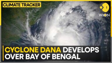 Cyclone Dana: IMD Issues Red Alert In West Bengal & Odisha | WION Climate Tracker | World News