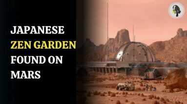 Japanese Zen Garden Found on Mars | WION Podcast