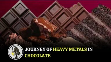 Journey of Heavy Metals in Chocolate | WION Podcast