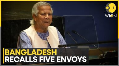 Bangladesh Interim Government Recalls Five Envoys In Major Diplomatic Reshuffle | World News | WION