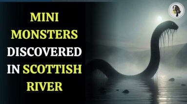 Mini Monsters Discovered in Scottish River | WION Podcast