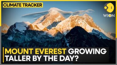 Climbing Mount Everest To Become More Difficult? | WION Climate Tracker | World News