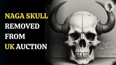 Naga skull removed from UK auction | WION Podcast