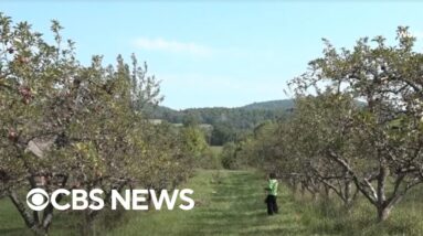 National Farmer's Day presented by Land O'Lakes | The Uplift