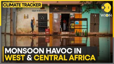 Floods In West And Central Africa: 8.5 Million People Affected Across 20 Countries | WION