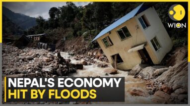 Nepal's Economy Hit By Floods: Nepal's Agriculture And Energy Sectors Crippled | WION