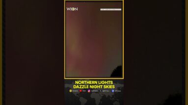 Northern Lights illuminate night skies around the world | WION Shorts