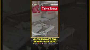 Yahya Sinwar's final moments captured, Israeli army releases video of Hamas Chief | WION Shorts