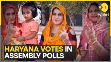 Haryana Assembly Election 2024: 1,031 Candidates Vie for 90 Seats in High-stake polls | WION News