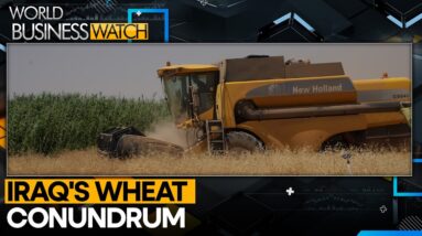 Iraq's Wheat Surplus Poses Major Challenge Amid Falling Oil Prices | World Business Watch | WION