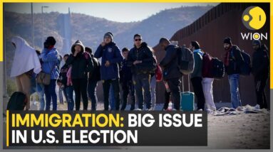 US Elections: What Are Voters Thinking On Immigration? WION Talks To New York Voters & Candidates