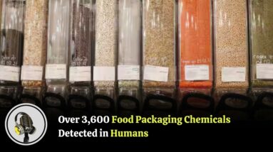 Over 3,600 food packaging chemicals detected in humans | WION Podcast