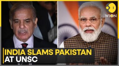 Pakistan Rakes Kashmir Issue At UN, India Hits Back | Latest News | WION