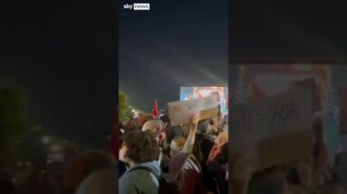 Pro-Palestinian protesters at Harris rally