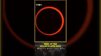 Solar Eclipse Shines A 'Ring Of Fire' Over Easter Island And Patagonia | WION Shorts