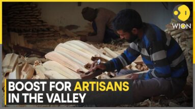 Jammu and Kashmir: Kashmir Willow Bats Given Handicraft Status By Govt Of India | World News | WION