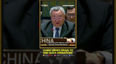 China urges Israel to stop all military actions in Gaza | Israel- Hamas War | WION Shorts