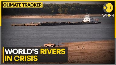 Rivers Face Record Low Levels & Pollution | WION Climate Tracker