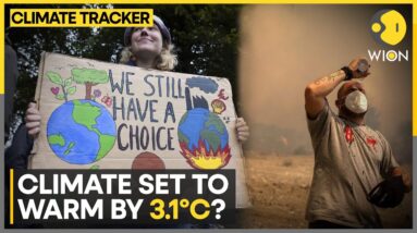 UN Report Warns Of Warming Twice The 1.5 Degree Celsius Cap | WION Climate Tracker | World News