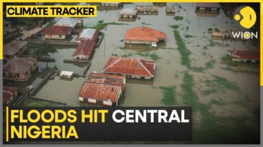 Two Major Rivers Flooded Across Central Nigeria | WION Climate Tracker | World News | WION