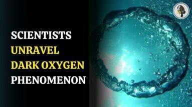 Scientists unravel dark oxygen phenomenon. | WION Podcast