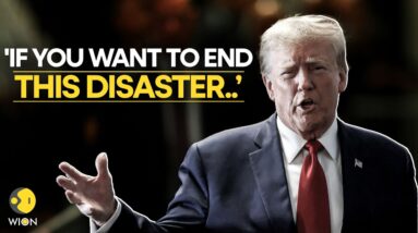 Donald Trump's Final Push To Win New York; Says 'If You Want To End This Disaster..' | USA News LIVE