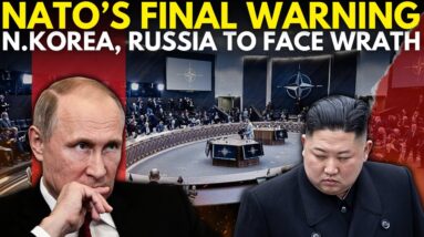 Russia-Ukraine LIVE: NATO Issues Warning As It Confirms Presence of North Korean Troops in Russia