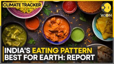 Food Systems Generate Greenhouse Gas Emission | WION Climate Tracker | World News