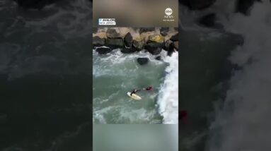 Surfers rush to rescue fishermen knocked off jetty