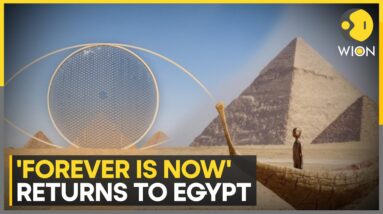 'Forever Is Now': Contemporary Art Exhibition Held Beside Pyramids In Egypt | World News | WION