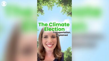 The Climate Election: Transportation, explained