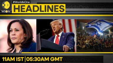 N Korea Slams Sanctions- Monitoring Team | Harris, Trump Turn Up Election Heat | WION Headline