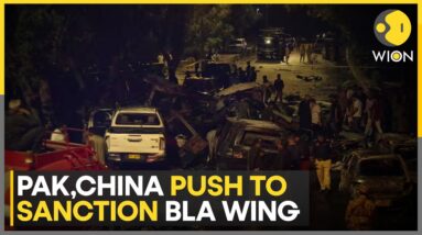 China, Pakistan Push To Sanction BLA Wing Following Karachi Airport Attack | Latest News | WION