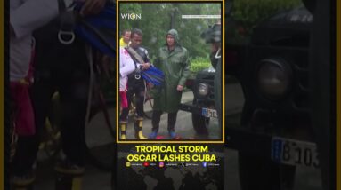 Tropical Storm Oscar Lashes Cuba | WION Shorts