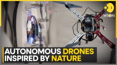 Hungarian Scientists Develop Decentralised Drone Swarms | World News | WION