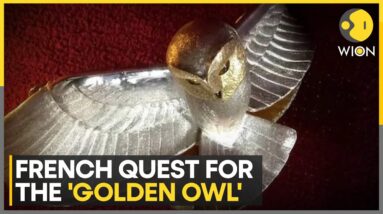 31-Year-Long Treasure Hunt Finally Ends With Discovery of Golden Owl | Latest English News | WION