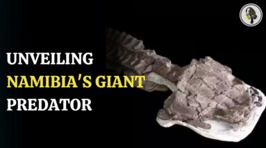 Unveiling Namibia's Giant Predator | WION Podcast