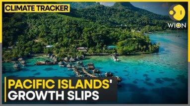 Digital Divide Hinders Growth In Pacific Islands | WION Climate Tracker | World News